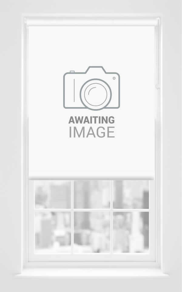 Awaiting Image