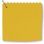 Splash Canary