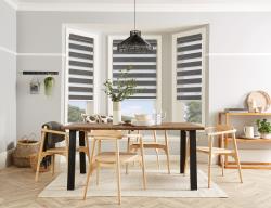 Vision blinds